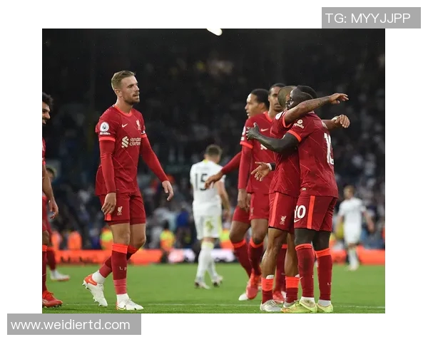 伯利恩对决富勒姆精彩赛事回顾与分析展望