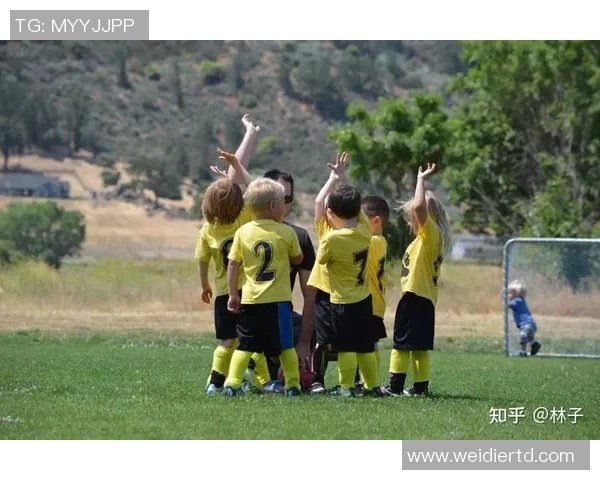 费兰托雷斯的足球之路：从青训到国际舞台的辉煌历程与未来展望