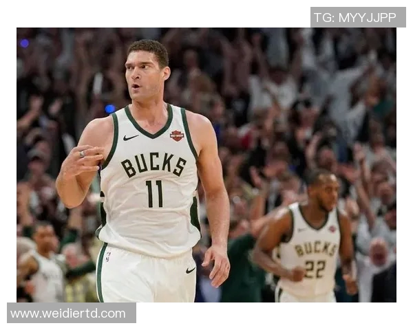 布鲁克洛佩斯:从篮球新星到NBA顶尖中锋的辉煌之路 布鲁克洛佩斯:从篮球新星到NBA顶尖中锋的辉煌之路