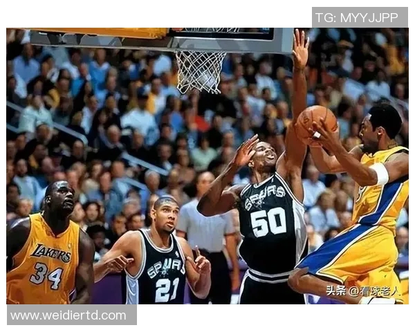 森林里与湖人之间的较量探秘篮球与自然的奇妙交融 森林里与湖人之间的较量探秘篮球与自然的奇妙交融