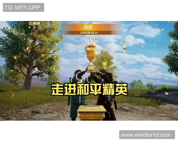 和平精英战术解析：FPX团队如何在竞技中取得优势与胜利