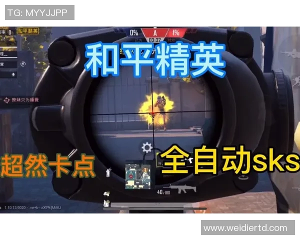 和平精英专题深度解析LNG战术策略与团队协作技巧