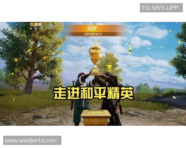 专访刘静揭秘和平精英成功背后的策略与创新之路