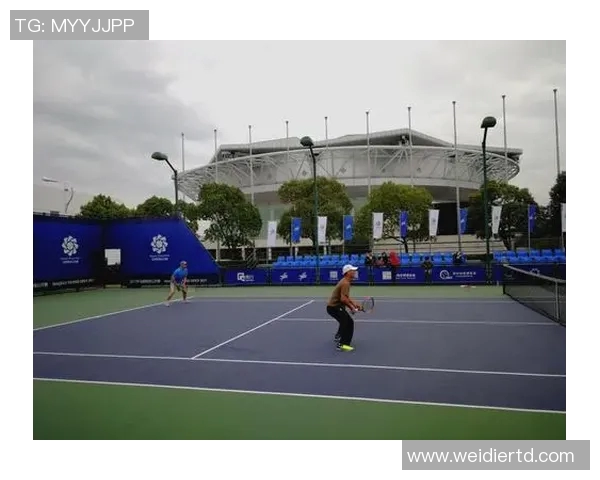 广州网球队的转型之路与成败得失深度分析